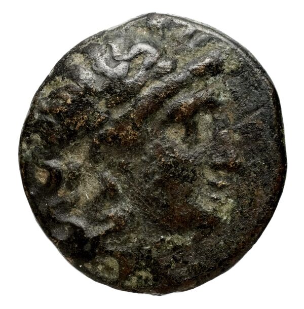 аверс Seleucid Coins (part 1) 537a
