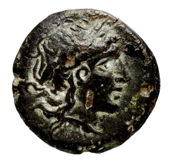 аверс Seleucid Coins (part 1) 528.6