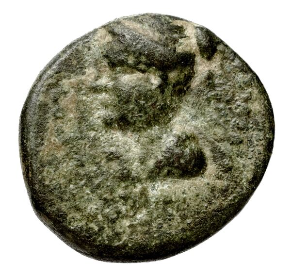 Seleucid Coins (part 1) 544, аверс, bnf-hrc