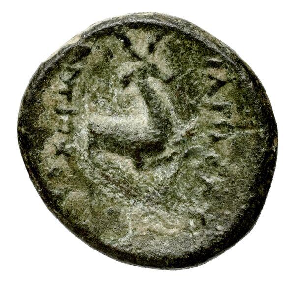 Seleucid Coins (part 1) 544, реверс, bnf-hrc