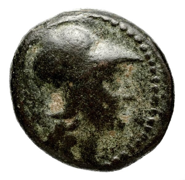Seleucid Coins (part 1) 695, аверс, bnf-hrc