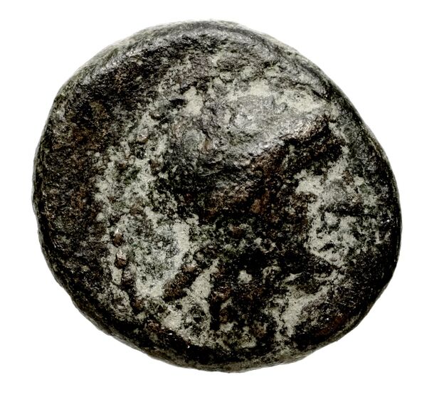 аверс Seleucid Coins (part 1) 666