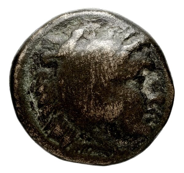 Seleucid Coins (part 1) 657, аверс, bnf-hrc