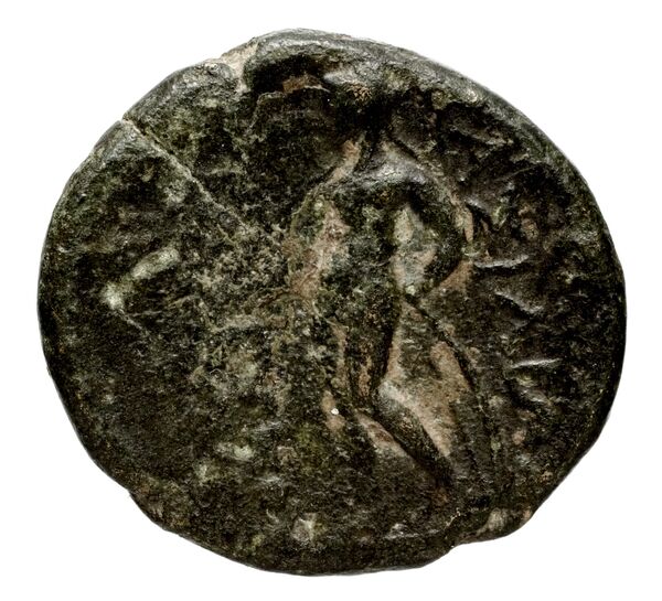 реверс Seleucid Coins (part 1) 660.2