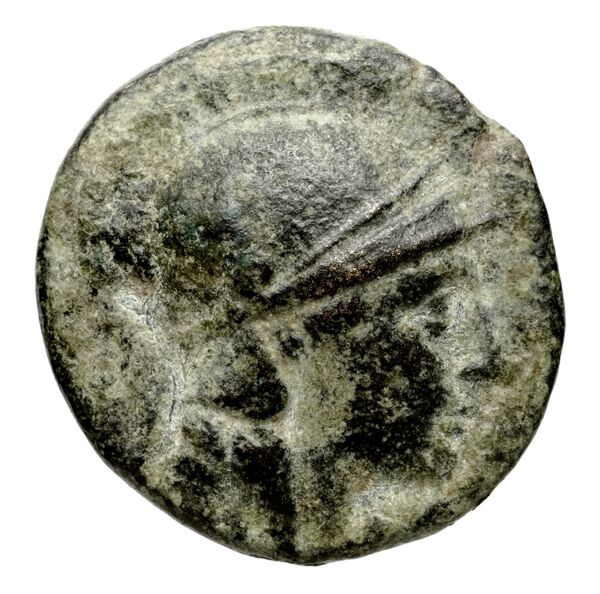 аверс Seleucid Coins (part 1) 660.5