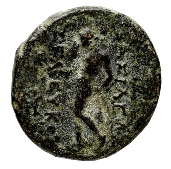 реверс Seleucid Coins (part 1) 660.5