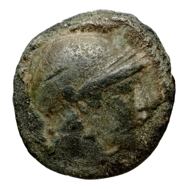 Seleucid Coins (part 1) 660.5, аверс, bnf-hrc