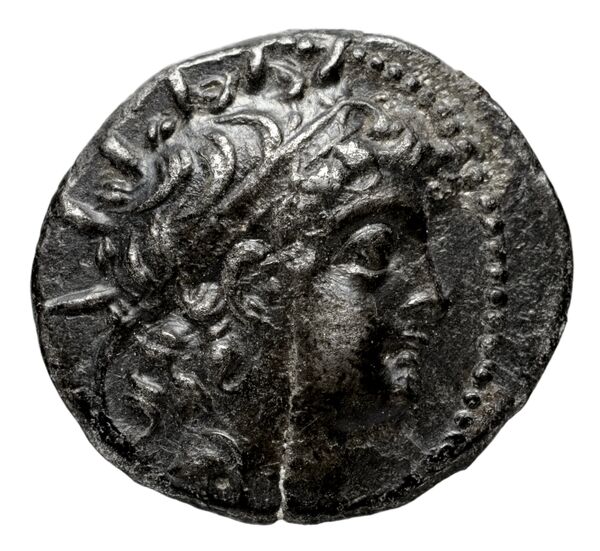 Seleucid Coins (part 2) 2003d, аверс, bnf-hrc