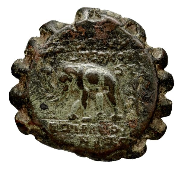 Seleucid Coins (part 2) 2006b, реверс, bnf-hrc