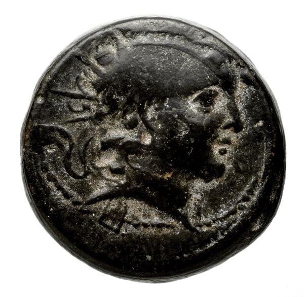 аверс Seleucid Coins (part 2) 2015.2