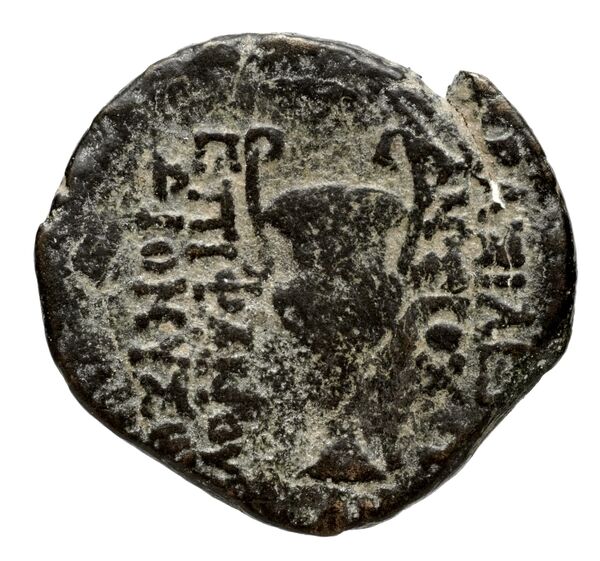 reverse Seleucid Coins (part 2) 2017a