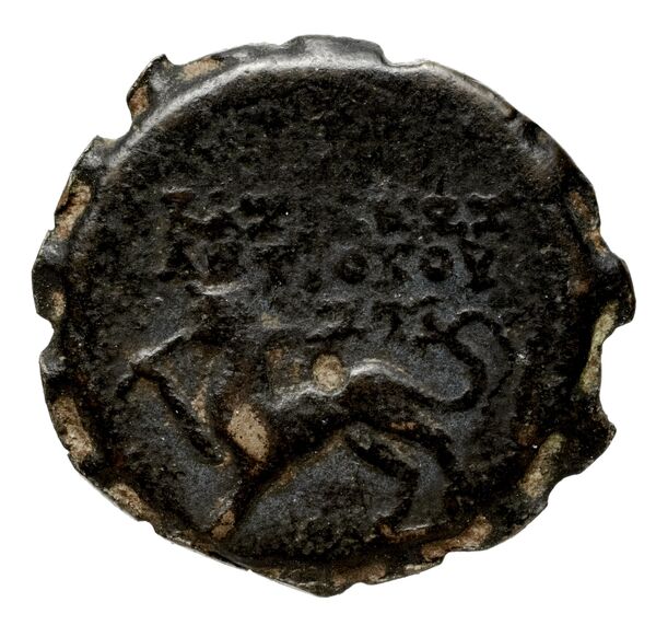 реверс Seleucid Coins (part 2) 2007b