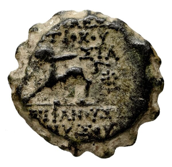 Seleucid Coins (part 2) 2007c, реверс, bnf-hrc