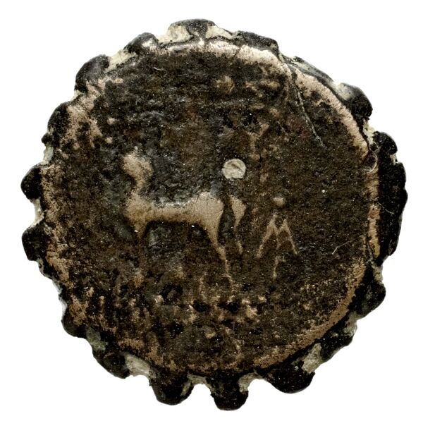 реверс Seleucid Coins (part 2) 2025