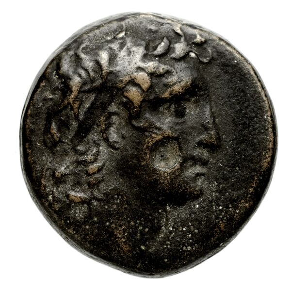 Seleucid Coins (part 2) 2040b, аверс, bnf-hrc
