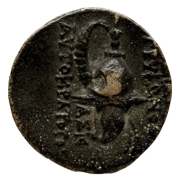 Seleucid Coins (part 2) 2040b, реверс, bnf-hrc