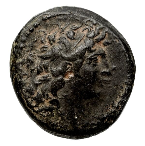 Seleucid Coins (part 2) 2034.2c, аверс, bnf-hrc