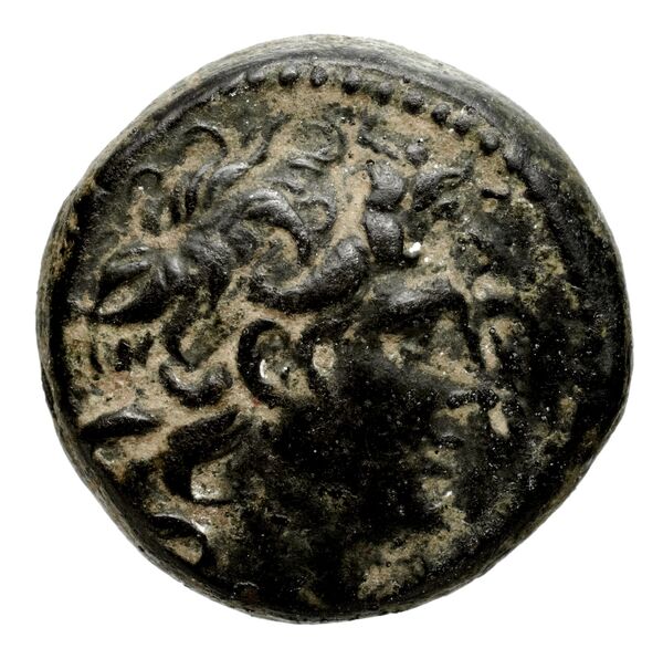 Seleucid Coins (part 2) 2034.2e, аверс, bnf-hrc