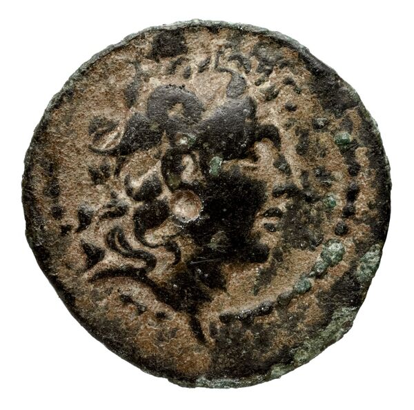 Seleucid Coins (part 2) 2034.2d, аверс, bnf-hrc