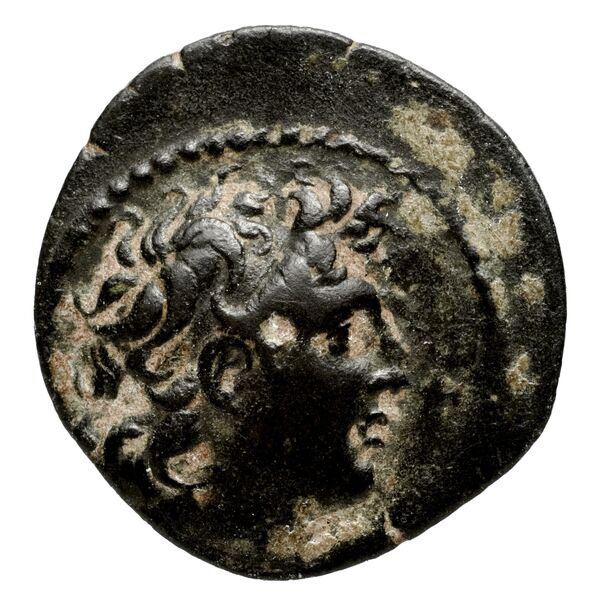 Seleucid Coins (part 2) 2034.2d, аверс, bnf-hrc