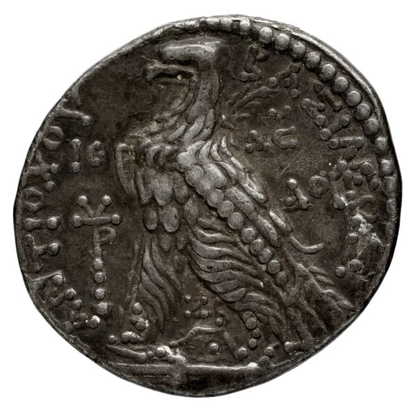 реверс Seleucid Coins (part 2) 2109.1b