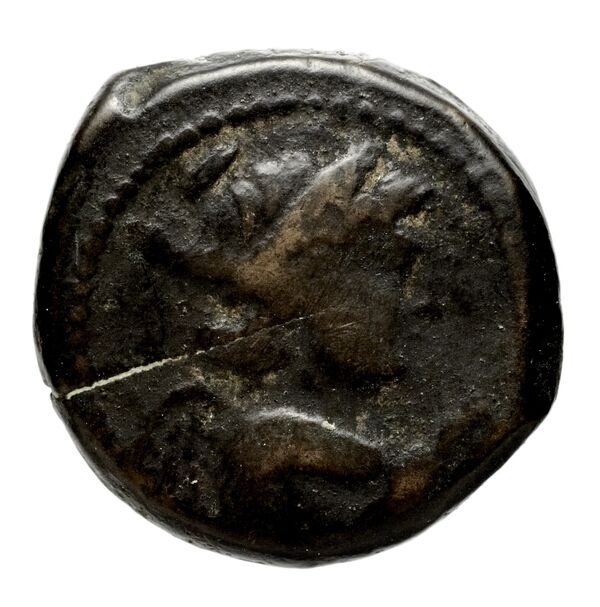 аверс Seleucid Coins (part 2) 2067.1c