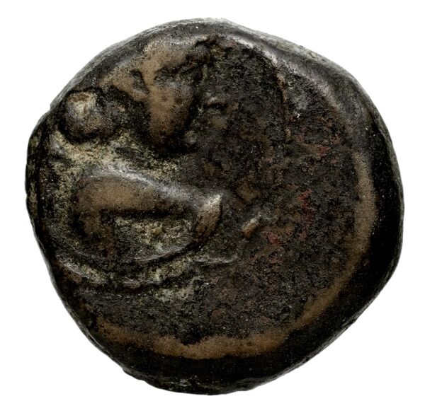 Seleucid Coins (part 2) 2067.1d, аверс, bnf-hrc
