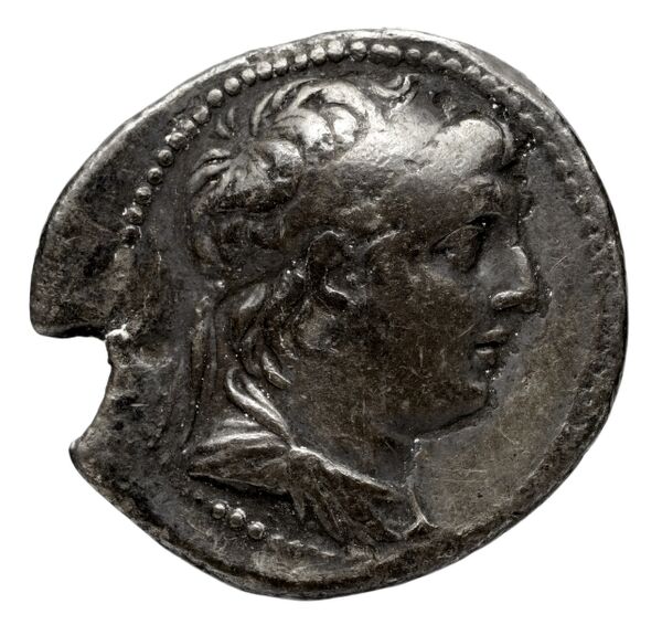 obverse Seleucid Coins (part 2) 2103.1