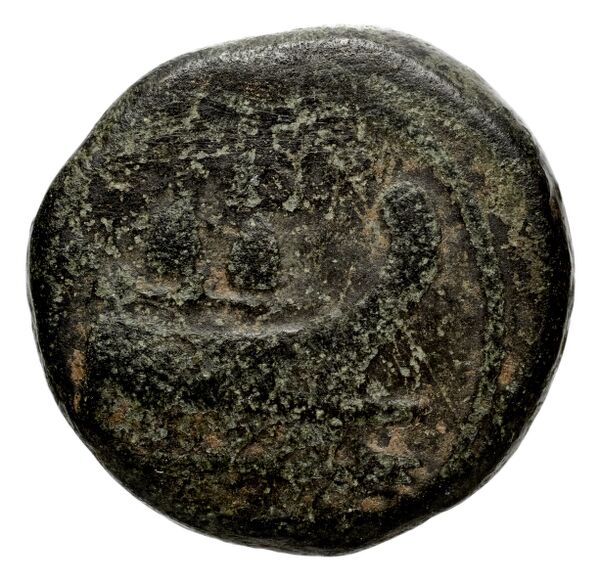 аверс Seleucid Coins (part 2) 2064.6
