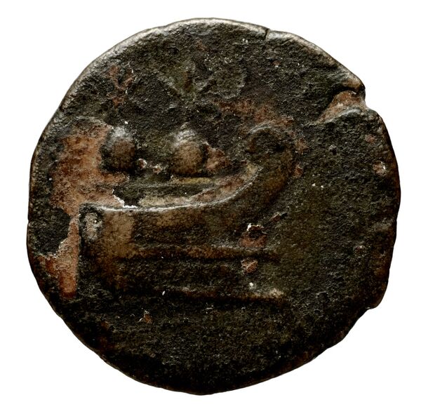 аверс Seleucid Coins (part 2) 2064.10