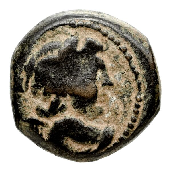 аверс Seleucid Coins (part 2) 2067.3d