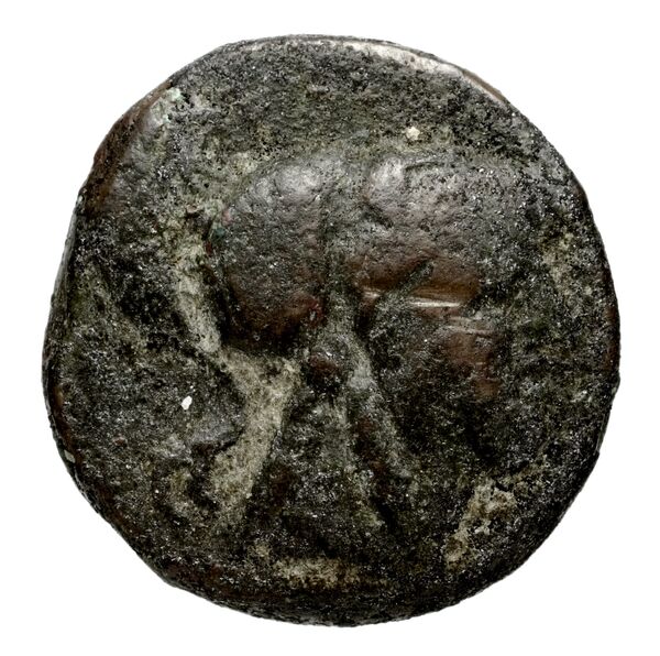 аверс Seleucid Coins (part 1) 361.3c