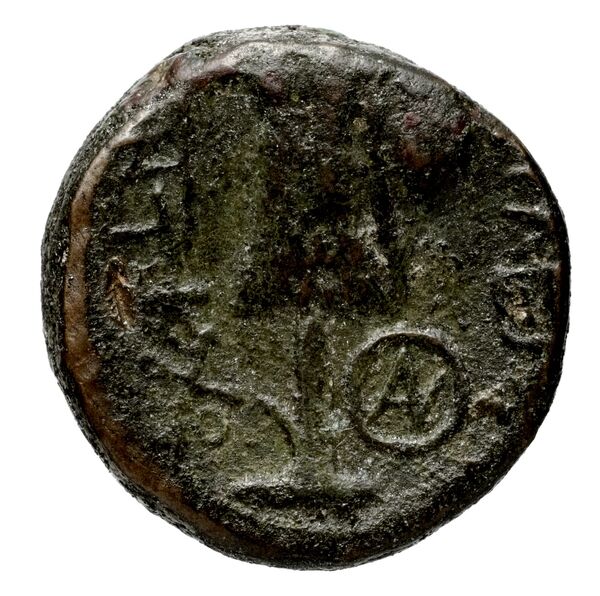 реверс Seleucid Coins (part 1) 361.3c