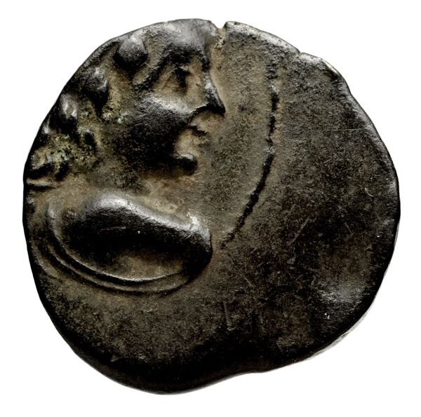 Seleucid Coins (part 2) 2067.3d, аверс, bnf-hrc