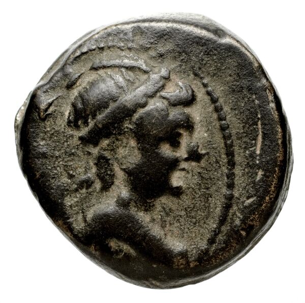 Seleucid Coins (part 2) 2067.3b, аверс, bnf-hrc