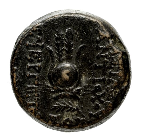 реверс Seleucid Coins (part 2) 2067.3c