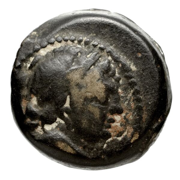 Seleucid Coins (part 2) 2067.3c, аверс, bnf-hrc