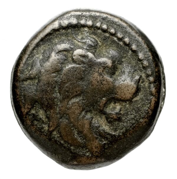 аверс Seleucid Coins (part 2) 2068.3c