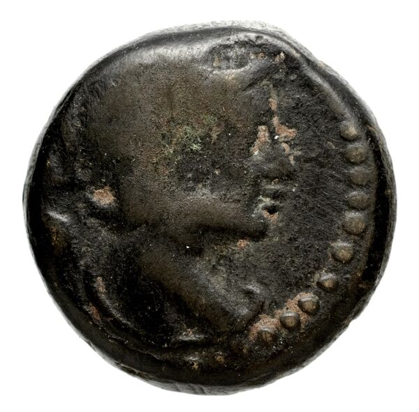 Seleucid Coins (part 2) 2067.7, аверс, bnf-hrc