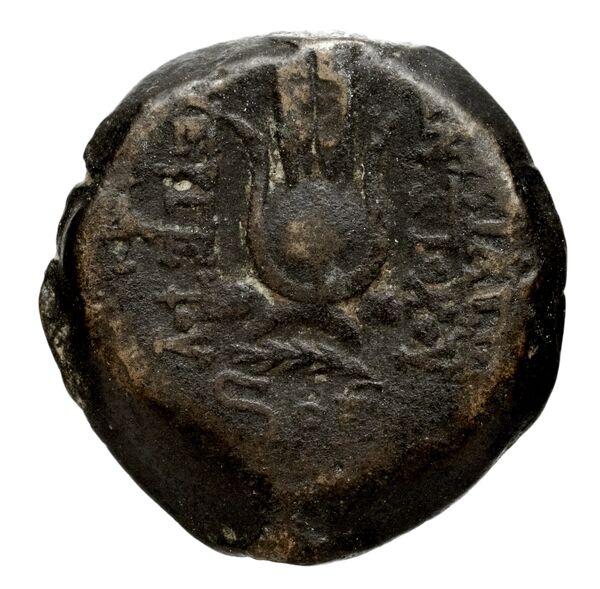 реверс Seleucid Coins (part 2) 2067.5c