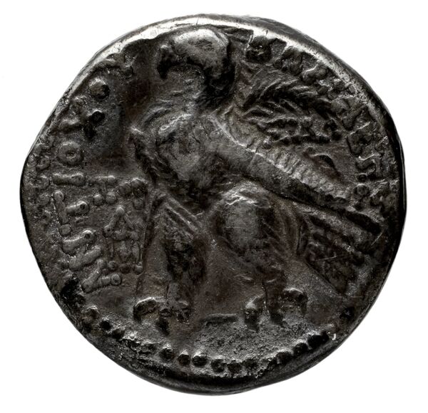 reverse Seleucid Coins (part 2) 2103.3b