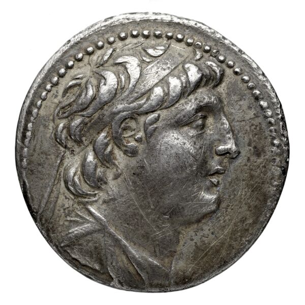 аверс Seleucid Coins (part 2) 2116.2