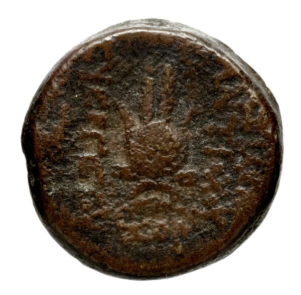 реверс Seleucid Coins (part 2) 2067.9c