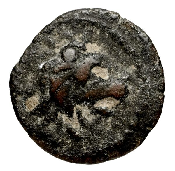 Seleucid Coins (part 2) 2068.4a, аверс, bnf-hrc
