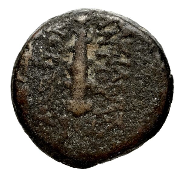 Seleucid Coins (part 2) 2068.4a, реверс, bnf-hrc
