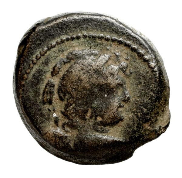 Seleucid Coins (part 2) 2067.14, аверс, bnf-hrc