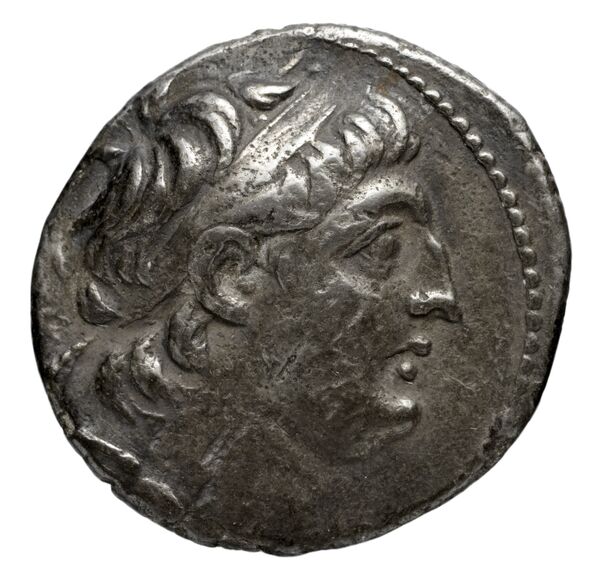 Seleucid Coins (part 2) 2109.8a, аверс, bnf-hrc