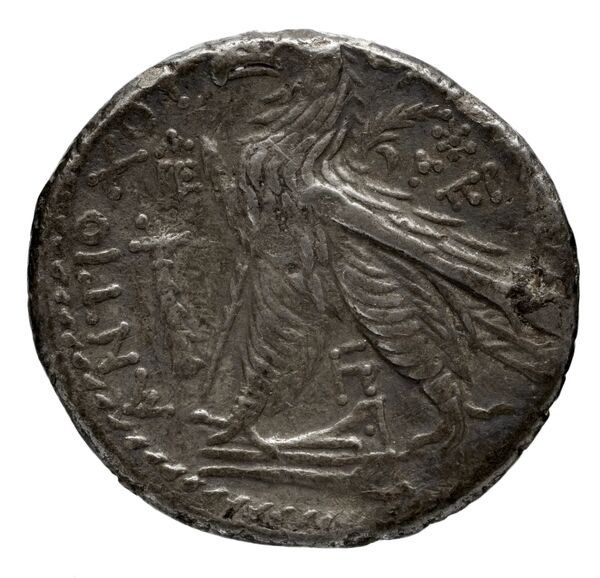 Seleucid Coins (part 2) 2109.8a, реверс, bnf-hrc