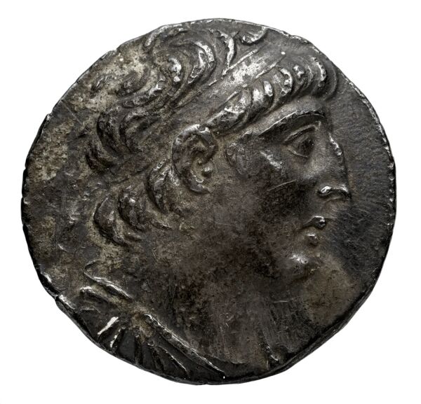 аверс Seleucid Coins (part 2) 2109.10c