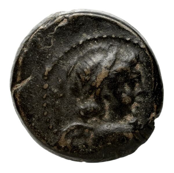 Seleucid Coins (part 2) 2067.19, аверс, bnf-hrc